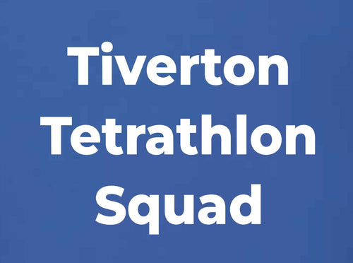 Adult Tiverton PC TET Royal Quarter Zip Sweatshirt SS830
