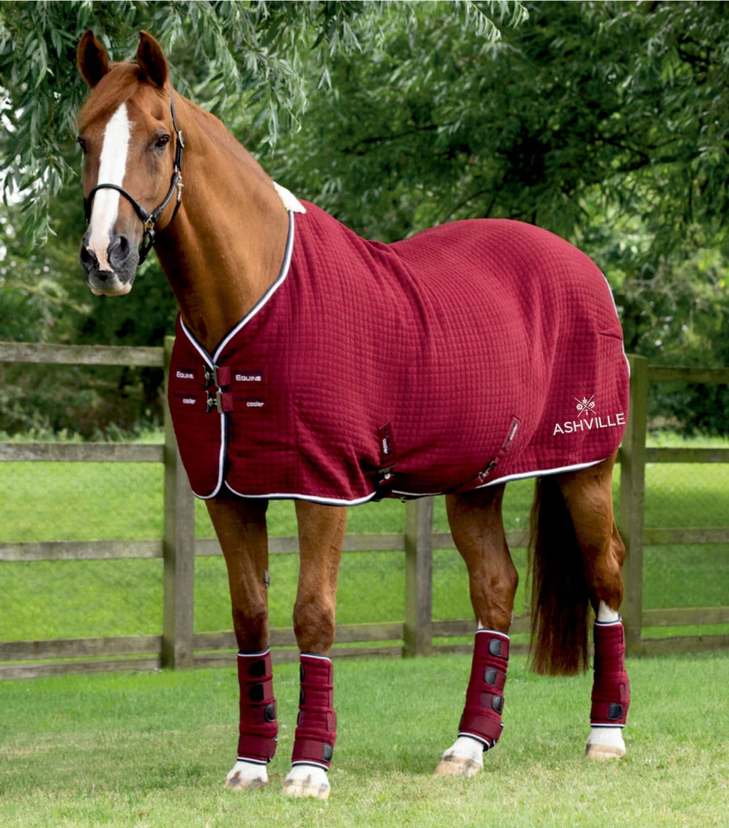 Ashville College Equestrian Burgundy PremTex Horse Cooler Rug.