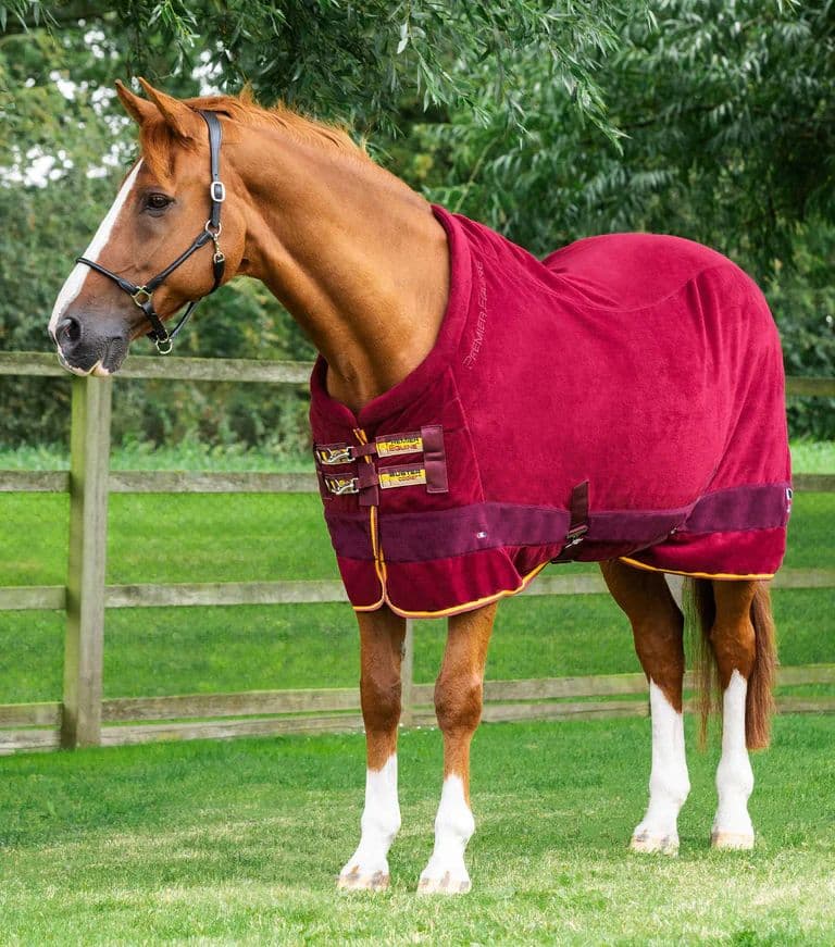 Buster Fleece Cooler Rug – Continental Edition. Embroidered with your name.