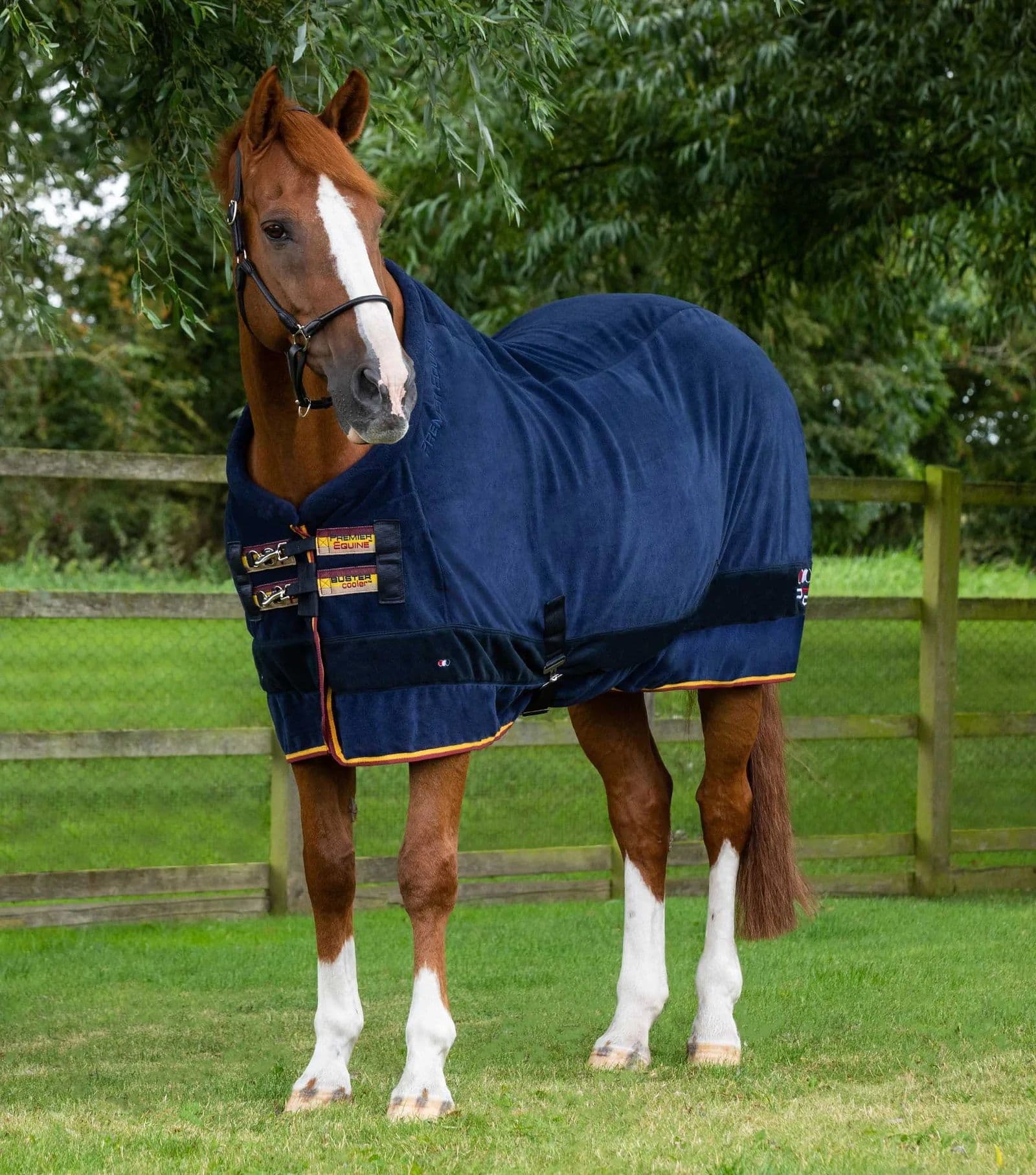 Buster Fleece Cooler Rug – Continental Edition. Embroidered with your name.