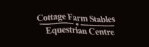 CHILD Cottage Farm Polo Shirt BA301b