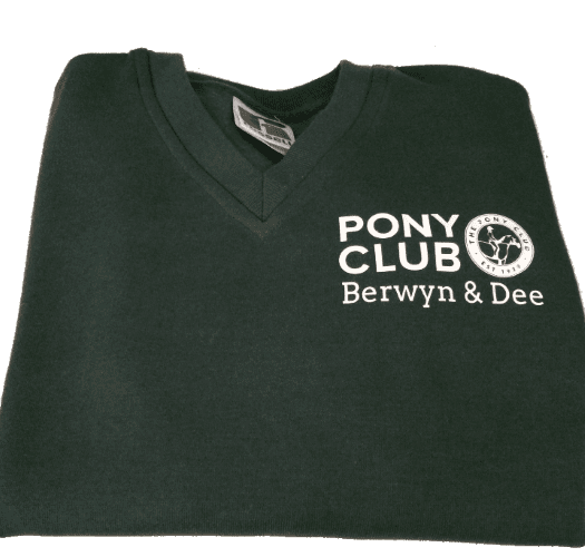 Children's Berwyn and Dee Pony Club Bottle V Necked Sweatshirt UC206