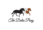 Dales Pony Adults Hoody