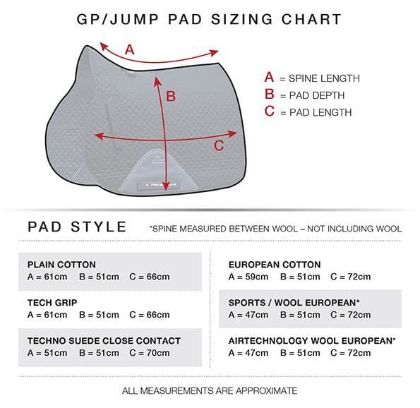 Dragon School Navy Pony Embroidered/ Plain Cotton GP/ Jump Square by Premier Equine
