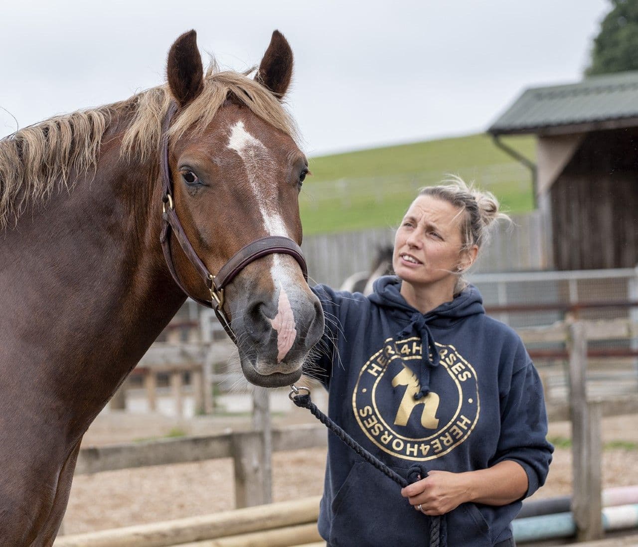 Here4Horses Classic Navy/Gold Unisex Hoodies
