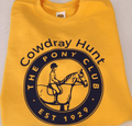 Kids Cowdray Golden Yellow Sweatshirt