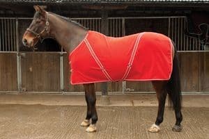 Kings Interhigh School Embroidered Fleece Rug