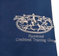 Ladies Fit HCTG TEAMS Polo Shirt – Royal UC106