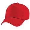 Masham Sheep Breeders Association Caps. BC010