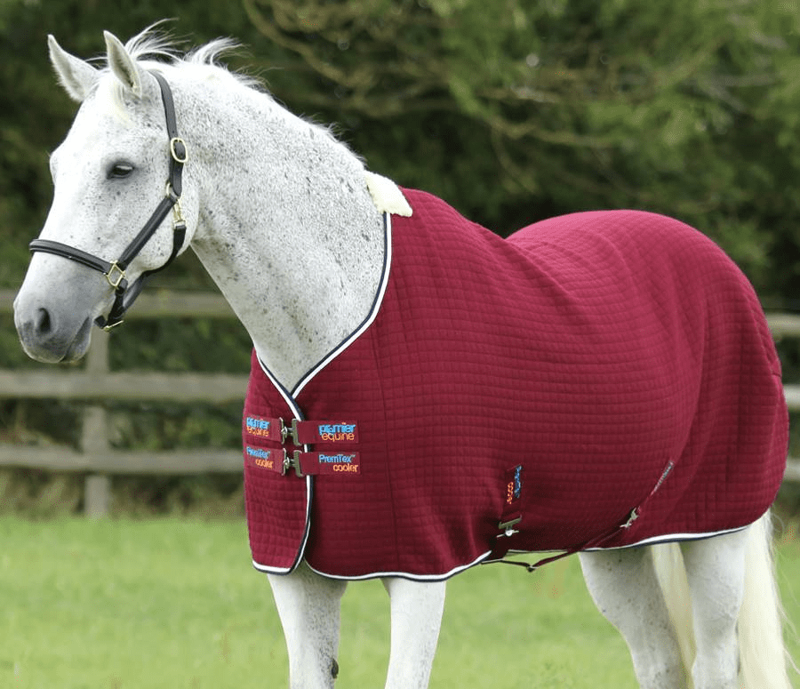 Premier Equine PremTex Cooler. Embroidered with your name.