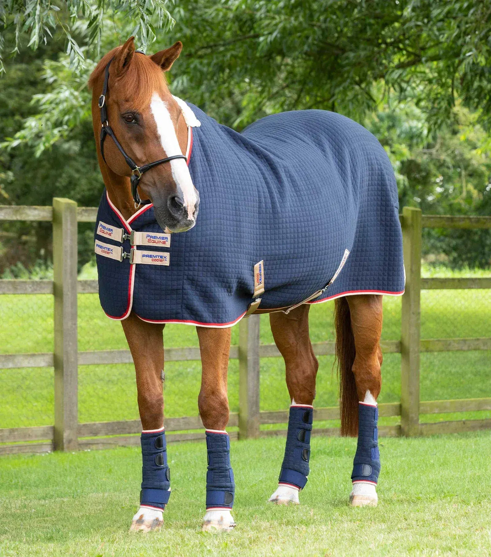 Premier Equine PremTex Cooler. Embroidered with your name.