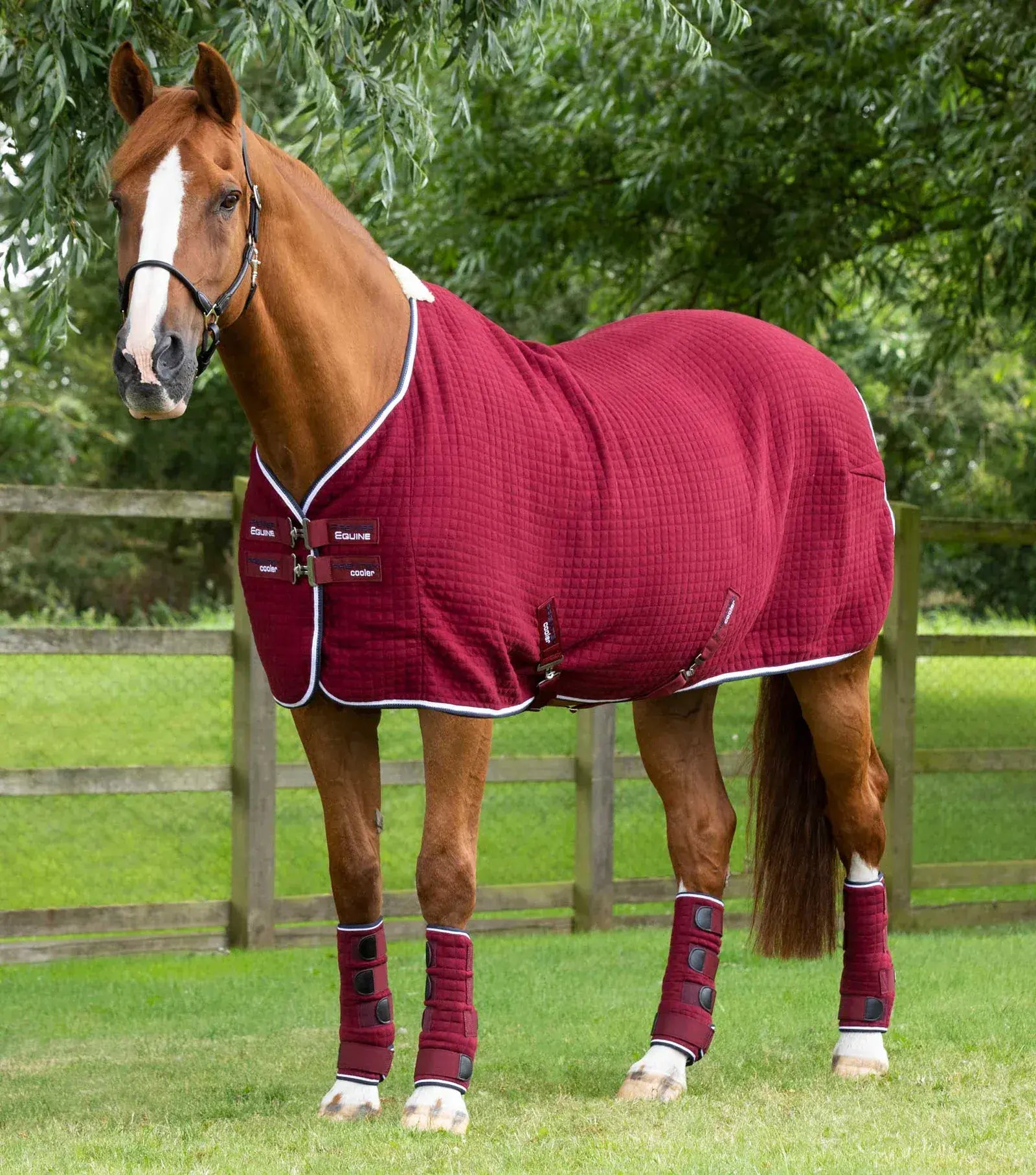 Premier Equine PremTex Cooler. Embroidered with your name.