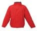 Three Counties Newfoundlands Jackets
