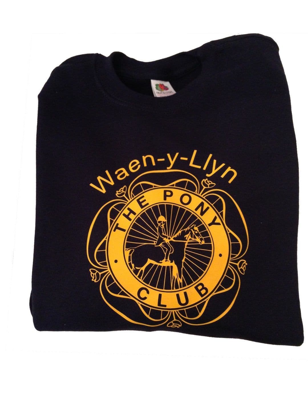 Waen-y-Llyn PC Children's Navy Sweatshirt