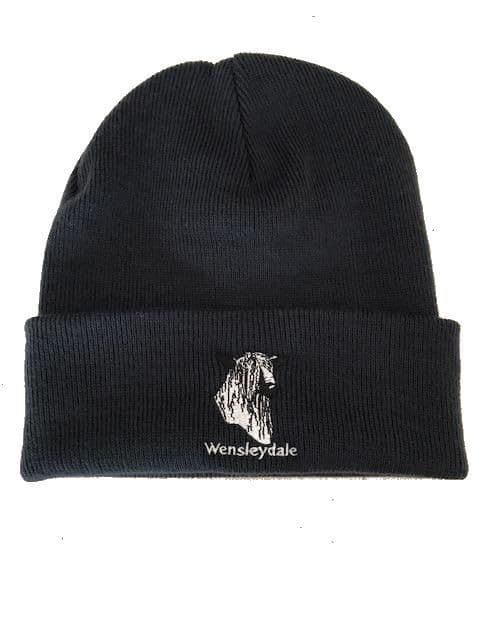 WLSBA Beanie