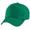 Woodland Hunt Pony Club Committee Green Cap